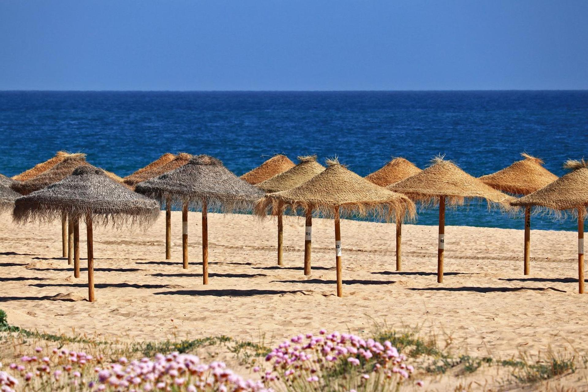 Centralgarve - Stunning Beach Front Studio - Astro Quarteira Room photo